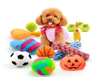 Modelos de juguetes para tu mascota
