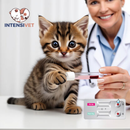 Kit de test de leucemia e inmunodeficiencia felina